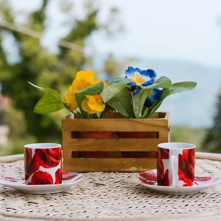 ονειρόπετρα 펜션